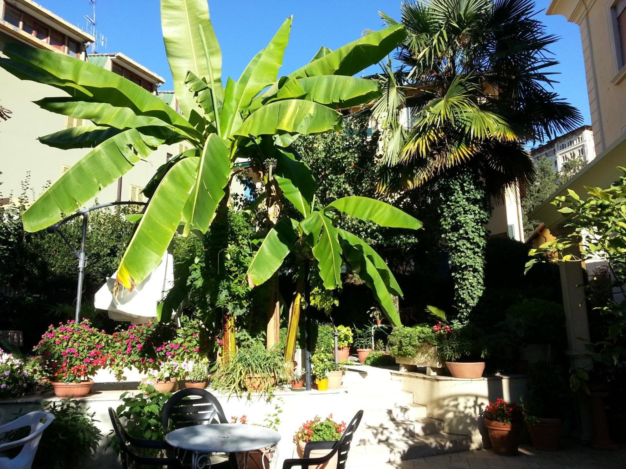 Albergo Belsito Fiuggi Esterno foto